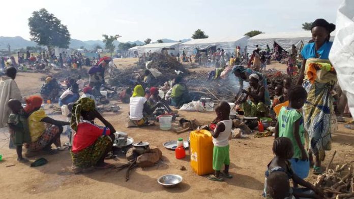 120,000 Nigerian refugees in Cameroon beg Tinubu to facilitate return back home